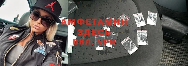 гидра Верхний Тагил